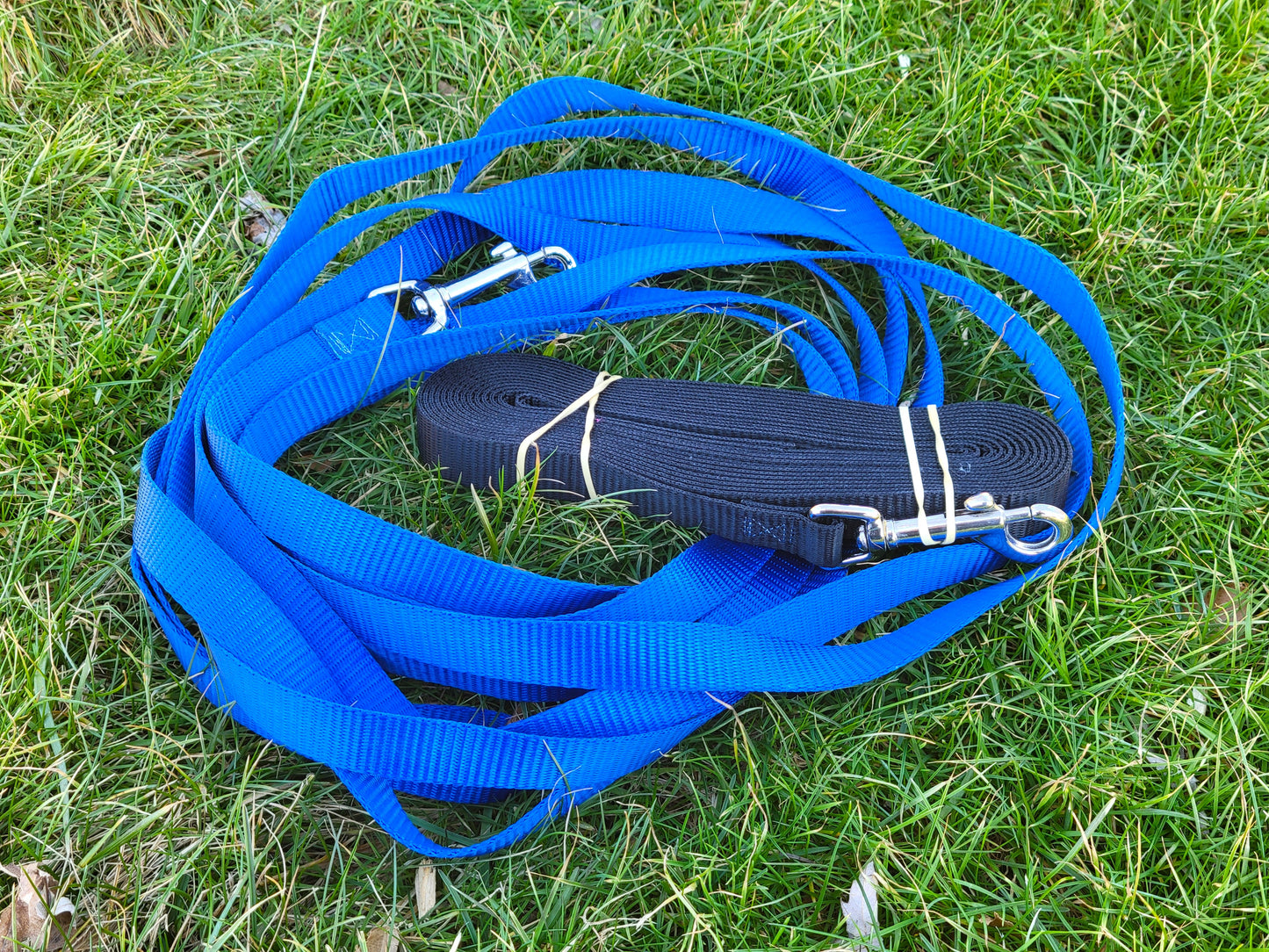 Training Leash (15ft - Color Varies)