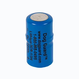 Lithium Battery (Single)