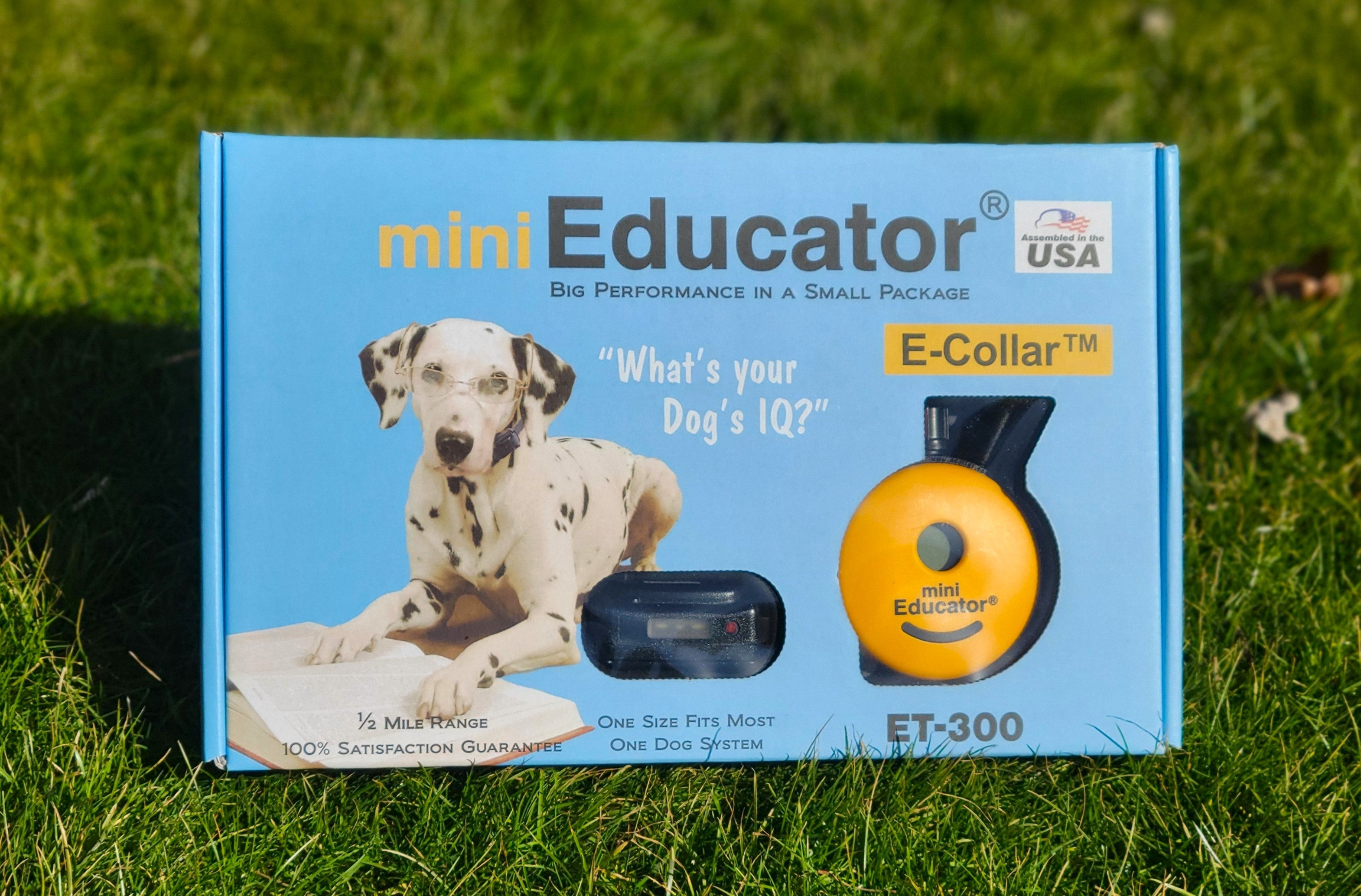Mini Educator Open Box Dog Guard of Ohio Shop – Dog Guard Ohio Shop
